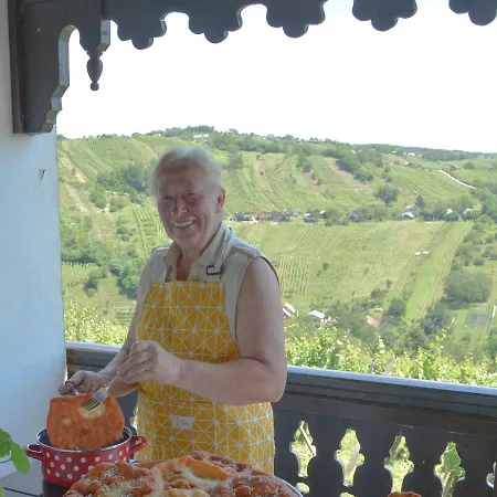 Počitniška hiša Vinum Vidae *