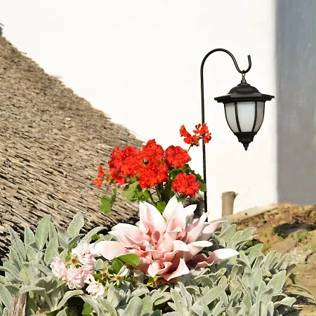 Vinum Vidae Tatil Evi *