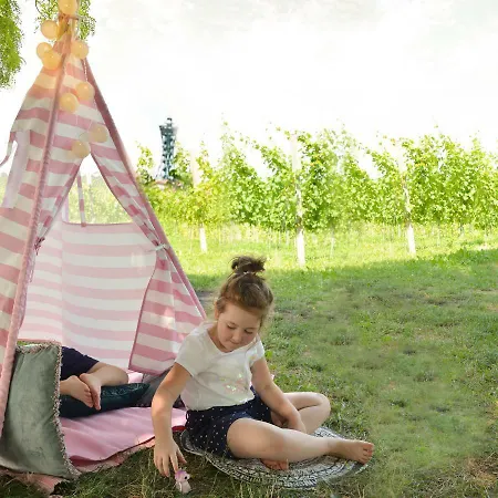 Vinum Vidae Tatil Evi Lendava