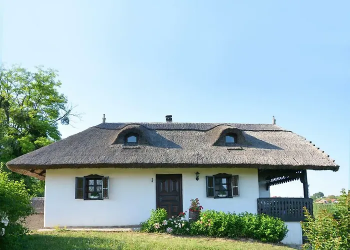 Vinum Vidae Σπίτι διακοπών *