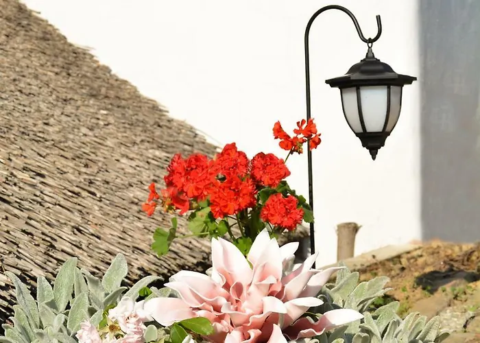 Vinum Vidae 度假居 *