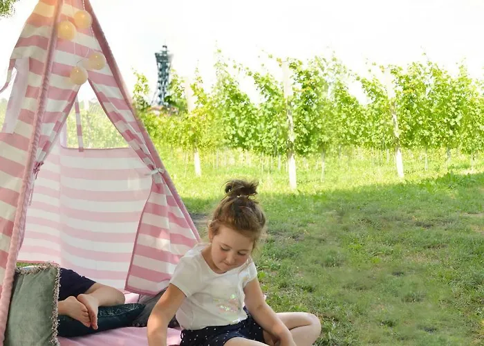 Vinum Vidae Σπίτι διακοπών Lendava