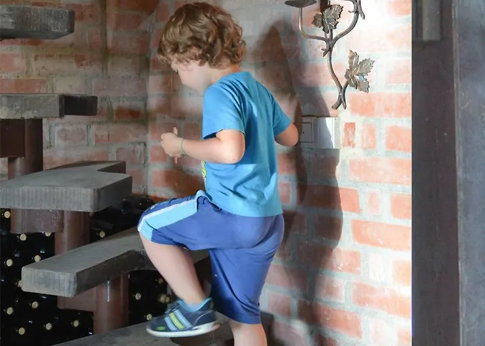 Vinum Vidae * Lendava