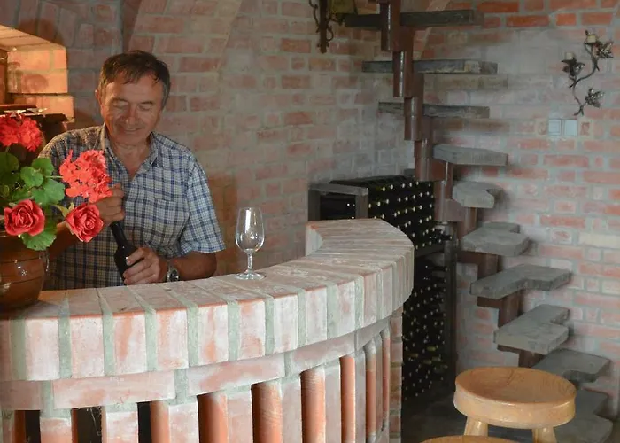 Vinum Vidae Σπίτι διακοπών